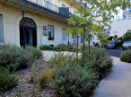 à vendre Appartement Sete