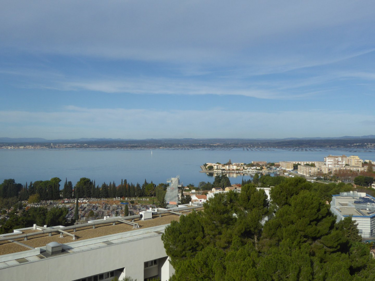 location Appartement Sete - Photo 1