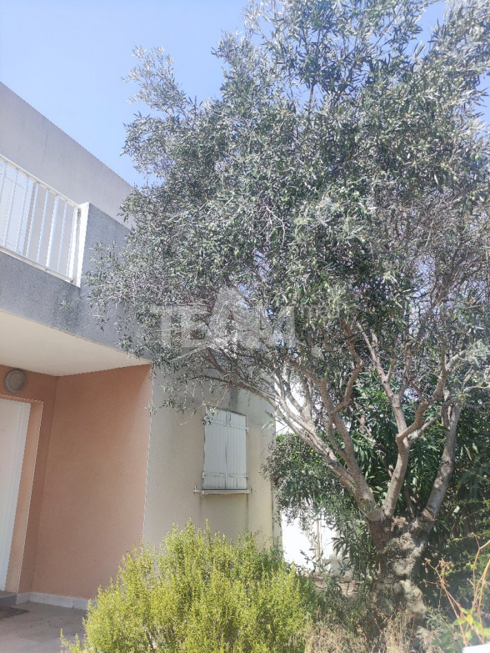 location Maison Balaruc Le Vieux - Photo 1