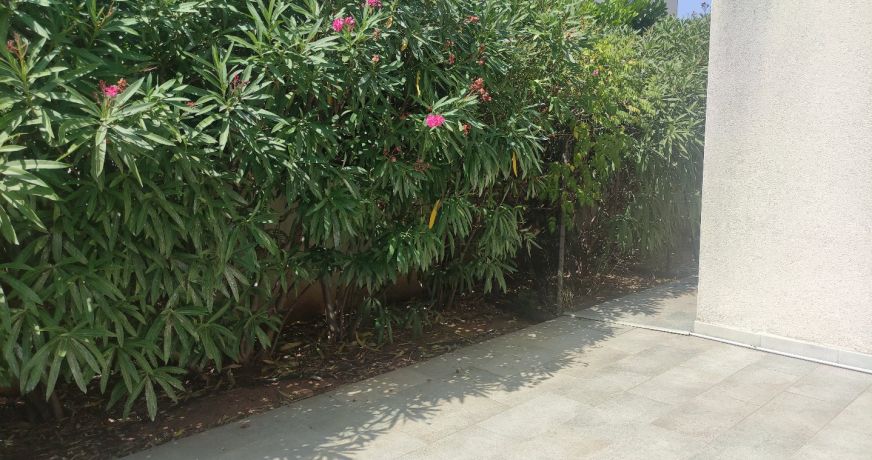 location Maison Balaruc Le Vieux