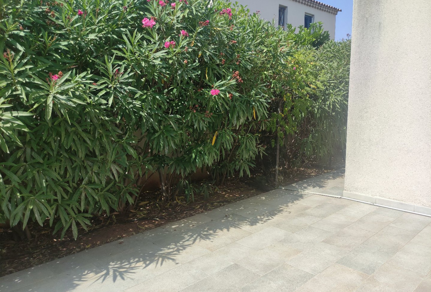 location Maison Balaruc Le Vieux - Photo 3