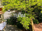 location Appartement Sete