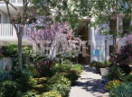 à vendre Appartement Sete