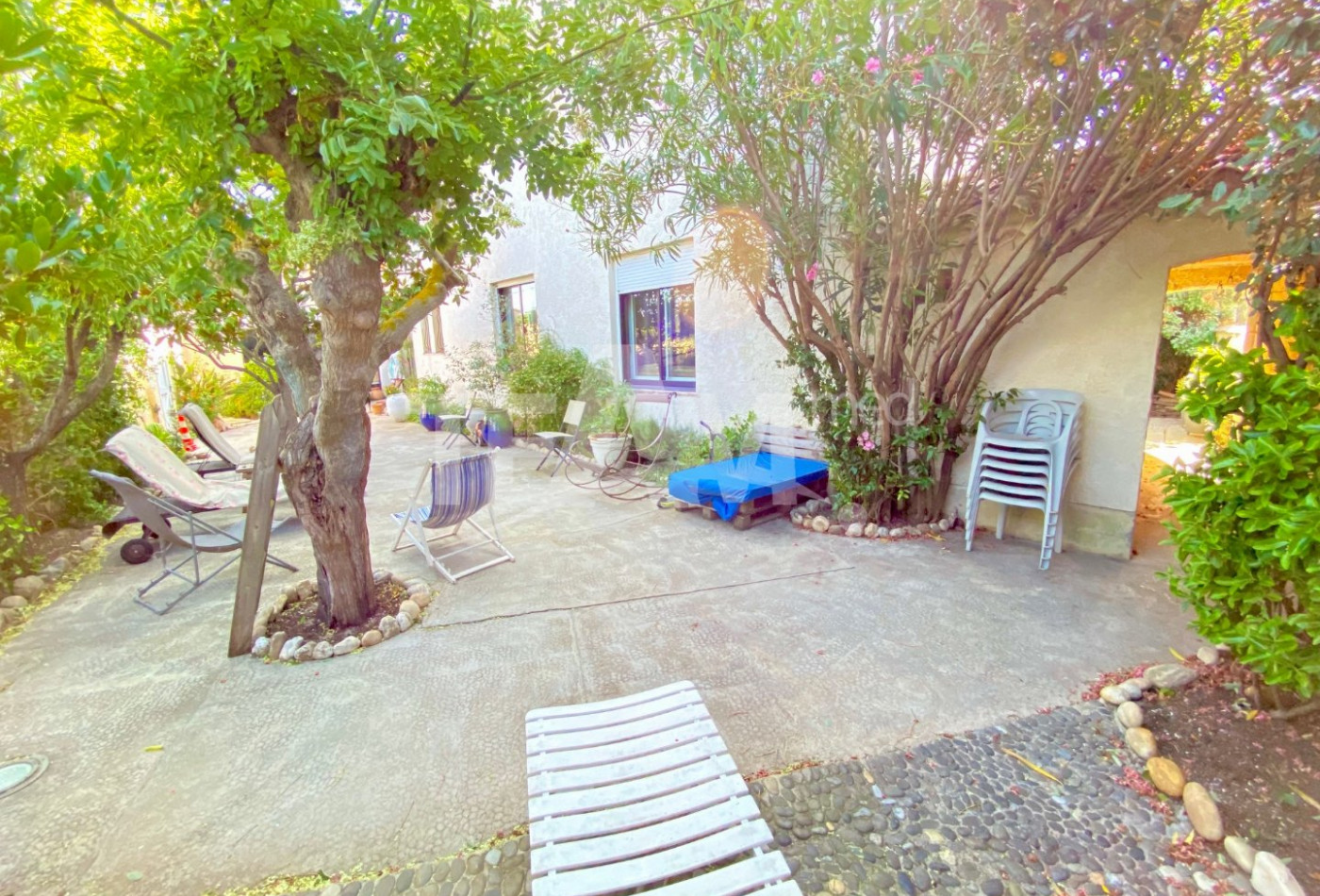 à vendre Maison Frontignan - Photo 5