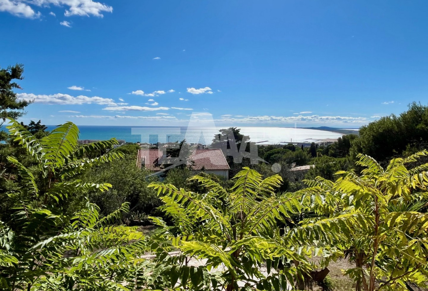 à vendre Maison Sete - Photo 1