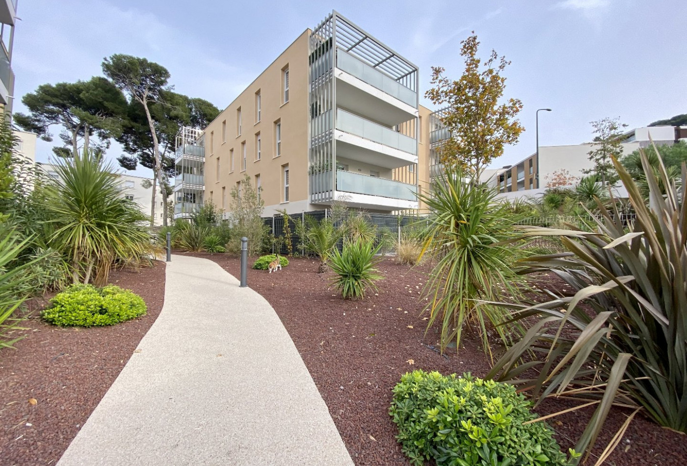 à vendre Appartement neuf Sete - Photo 1