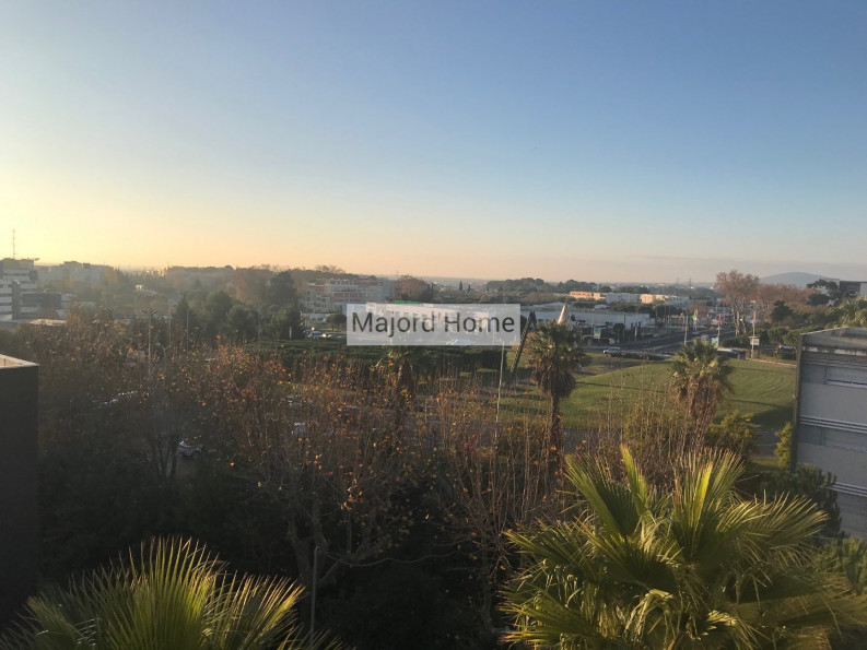 for rent Appartement Montpellier - Photo 6