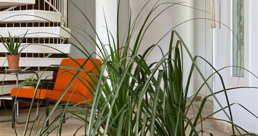 en location saisonnière Maison individuelle Sete