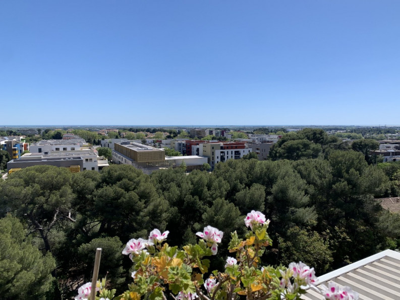 à vendre Appartement Montpellier - Photo 3