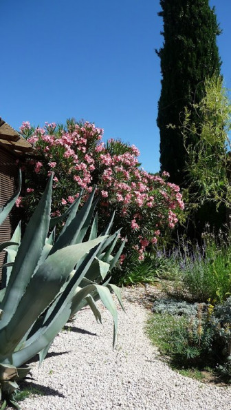 à vendre Maison Teyran - Photo 8