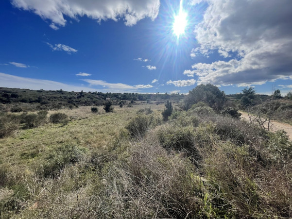 sale Terrain non constructible Loupian - Photo 3