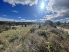 vente Terrain non constructible Loupian