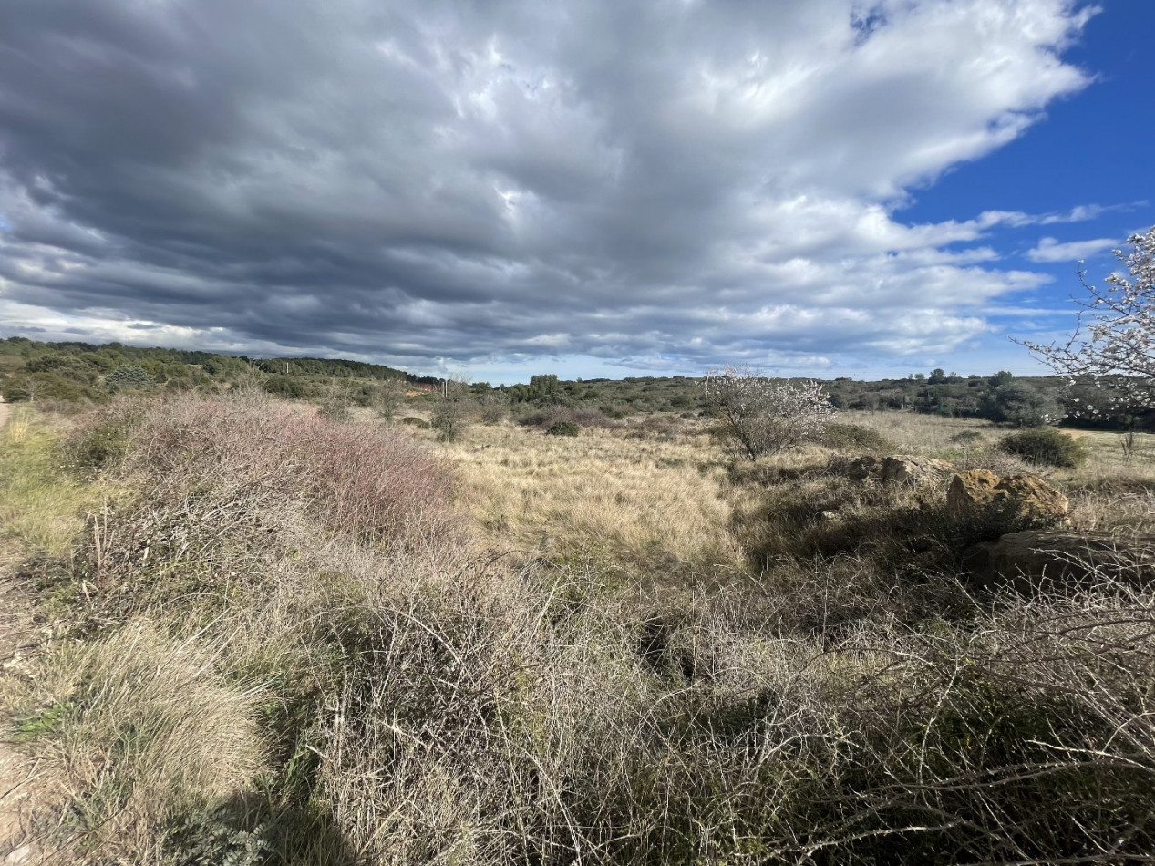 vente Terrain non constructible Loupian - Photo 1