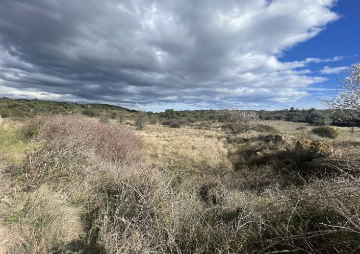 vente Terrain non constructible Loupian