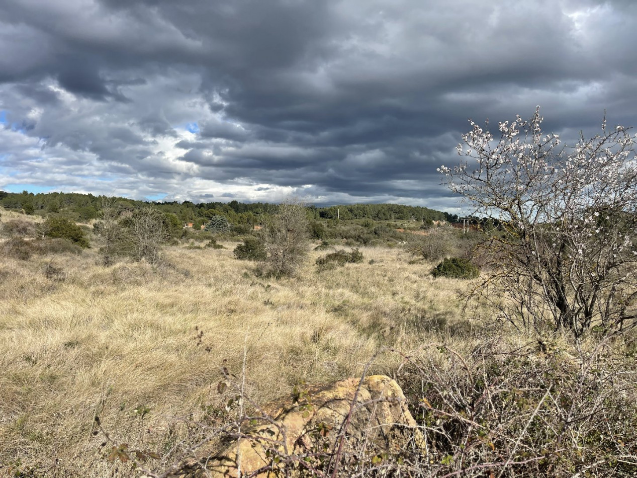 vente Terrain non constructible Loupian - Photo 2