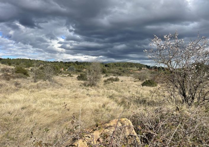 vente Terrain non constructible Loupian