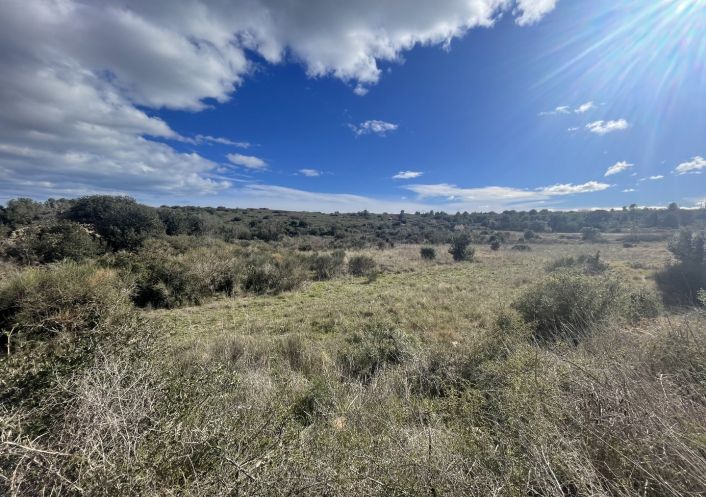 vente Terrain non constructible Loupian