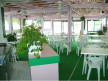vente Restaurant Marseillan Plage