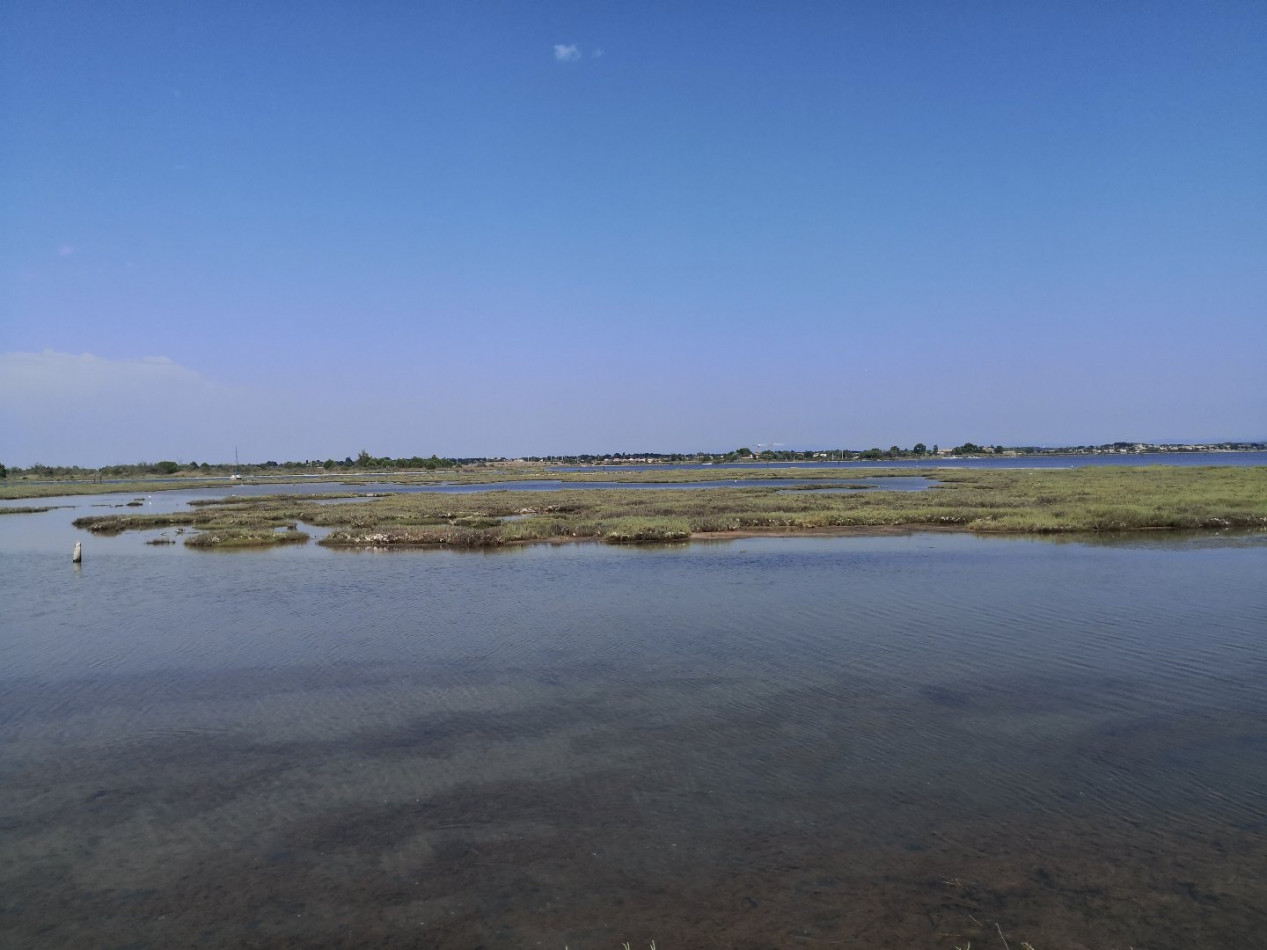 vente Maison de pêcheur Marseillan Plage - Photo 1
