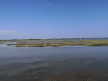 vente Maison de pêcheur Marseillan Plage