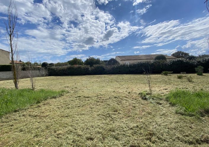 vente Terrain constructible Marseillan