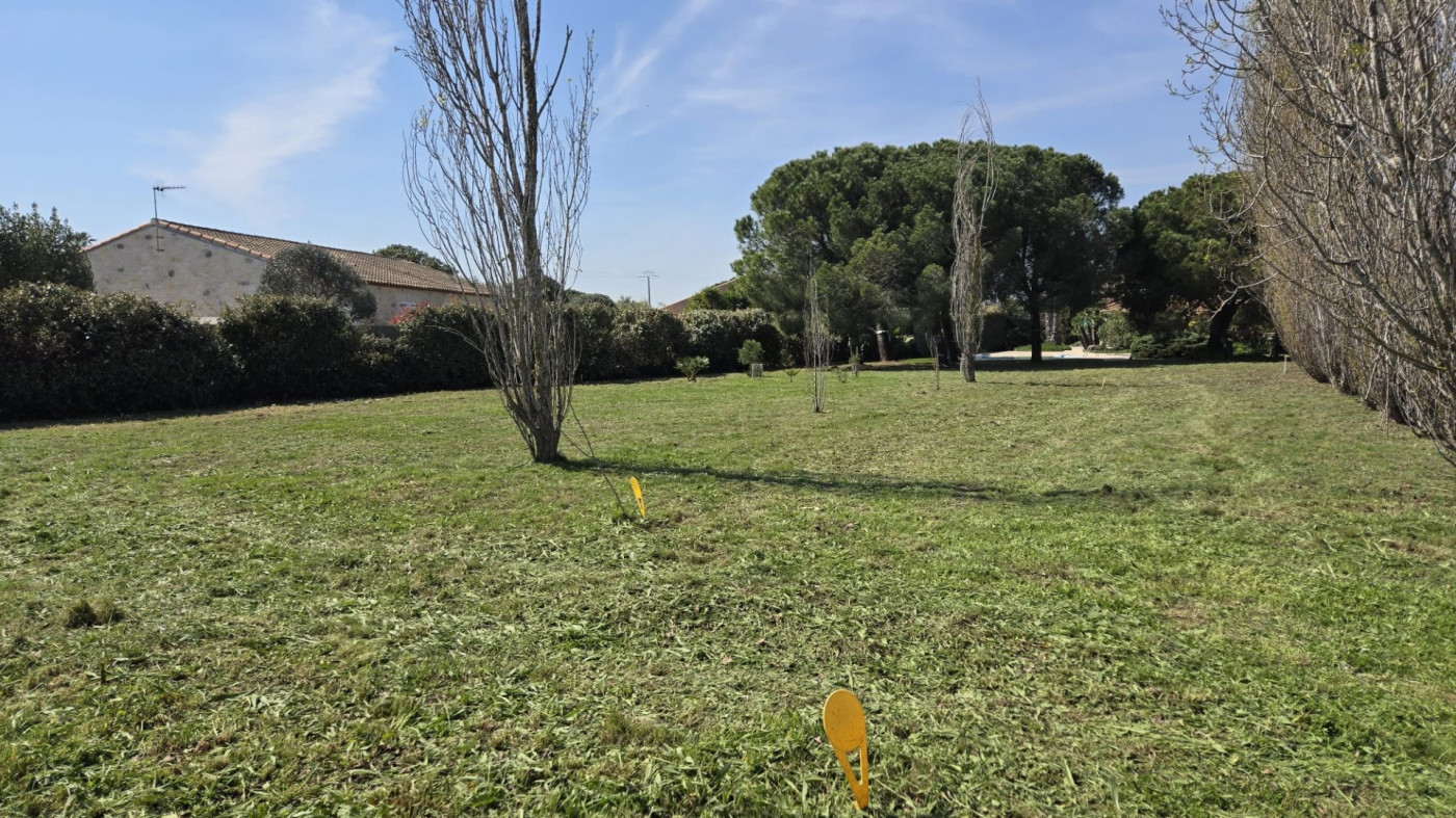 vente Terrain constructible Marseillan - Photo 2