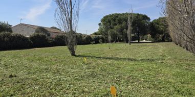 vente Marseillan