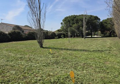 vente Terrain constructible Marseillan