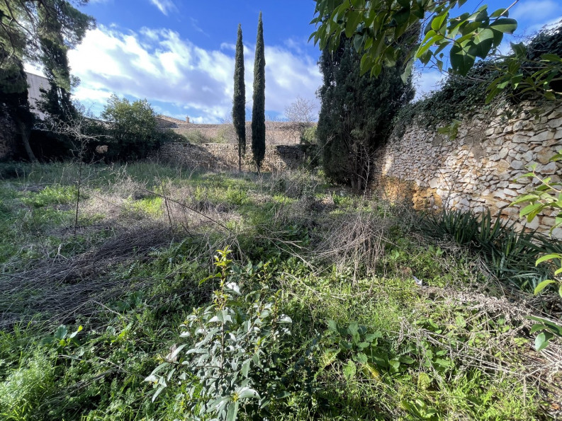 vente Terrain constructible Pomerols - Photo 2