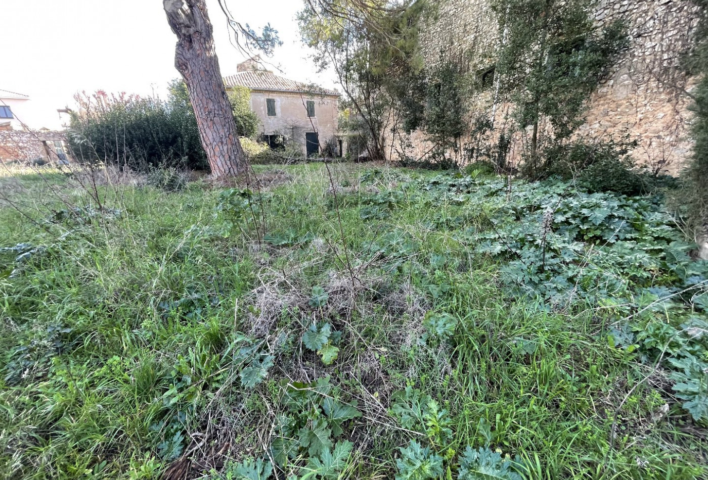 vente Terrain constructible Pomerols - Photo 4
