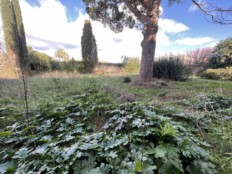 vente Terrain constructible Pomerols - Photo 7