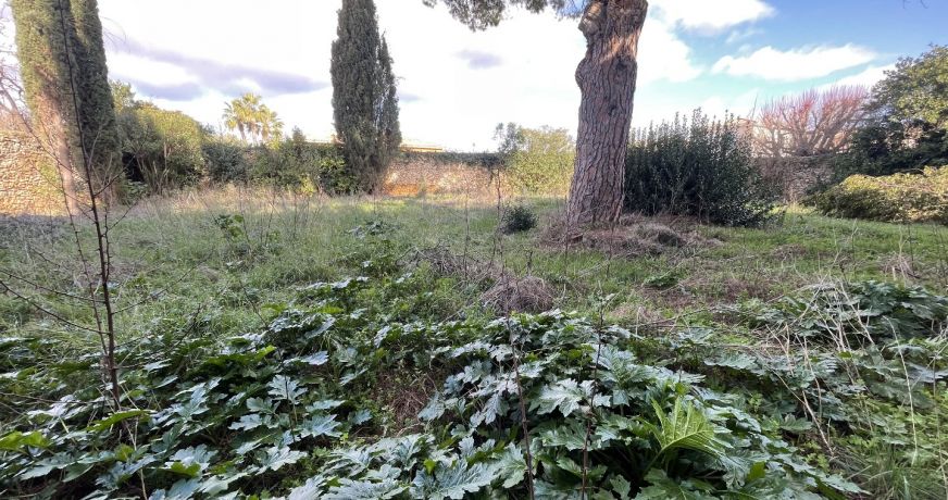 vente Terrain constructible Pomerols