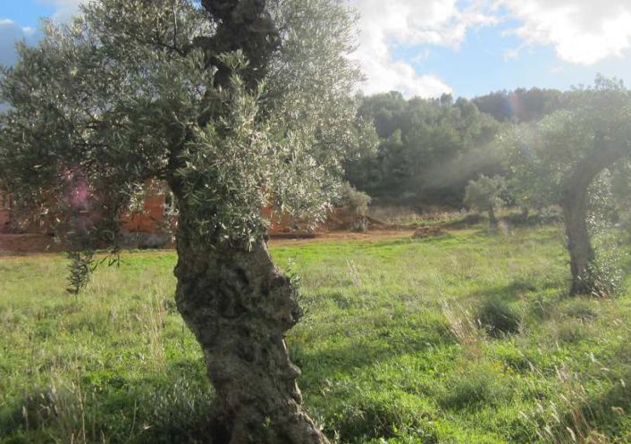 Terrain A Vendre A Cessenon Sur Orb Acheter Terrains 34460