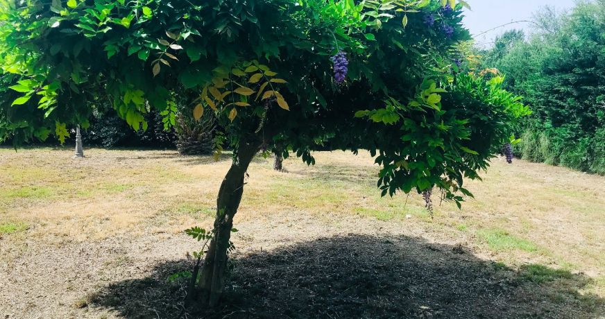vente Villa Pezenas