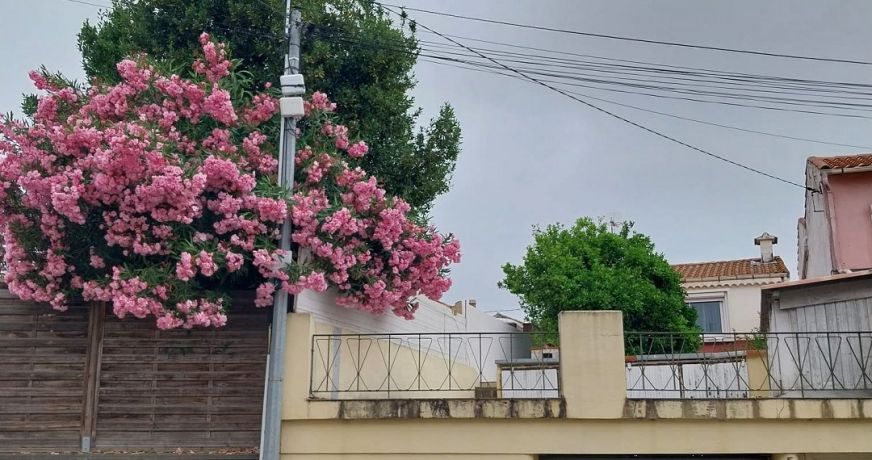 vente Maison Beziers