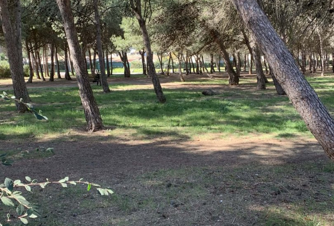 location Maison en résidence Le Cap D'agde - Photo 6