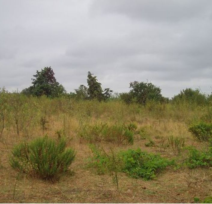 vente Terrain Mauguio