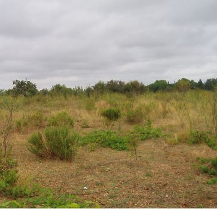 vente Terrain Mauguio