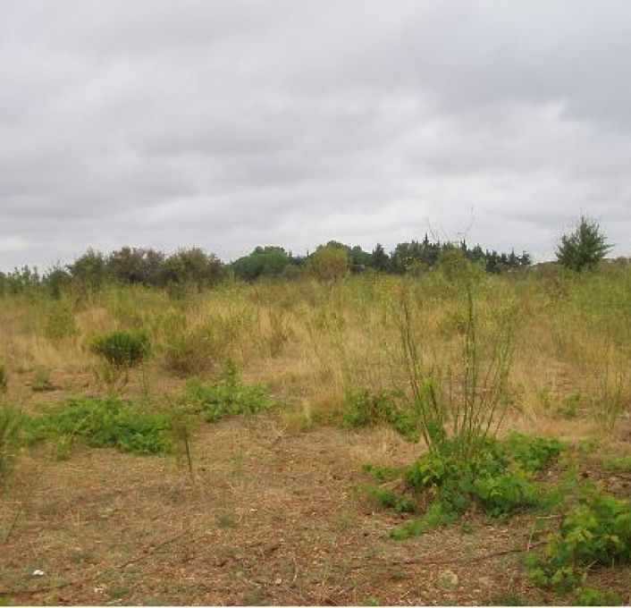 vente Terrain Mauguio