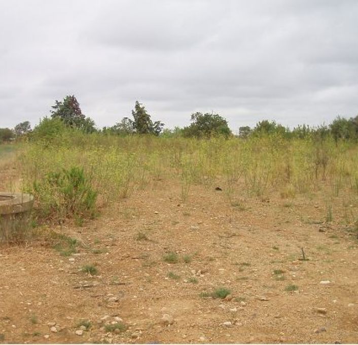 vente Terrain Mauguio