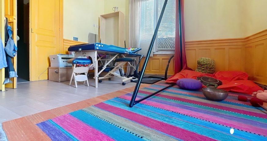 vente Locaux d'activité Mauguio