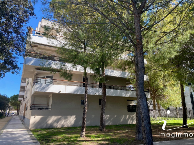 location Appartement Montpellier - Photo 1