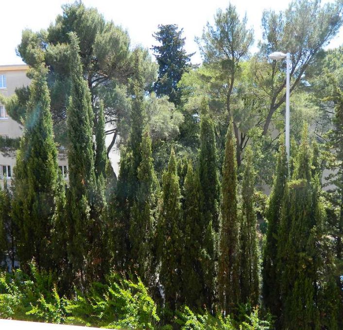 vente Appartement Montpellier