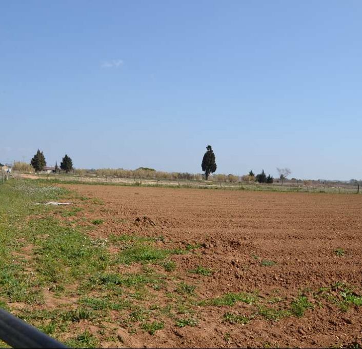 vente Terrain agricole Mauguio