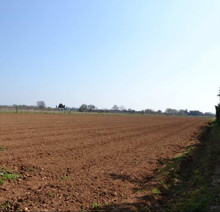 vente Terrain agricole Mauguio
