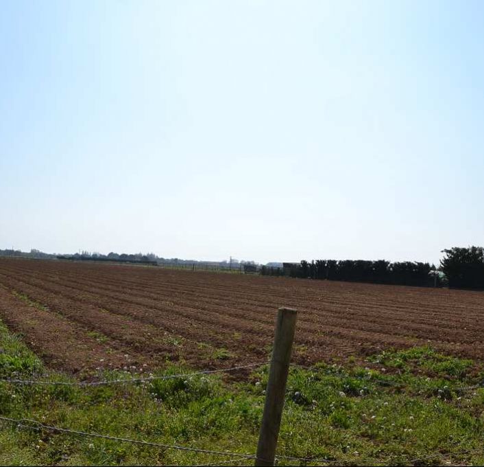 vente Terrain agricole Mauguio