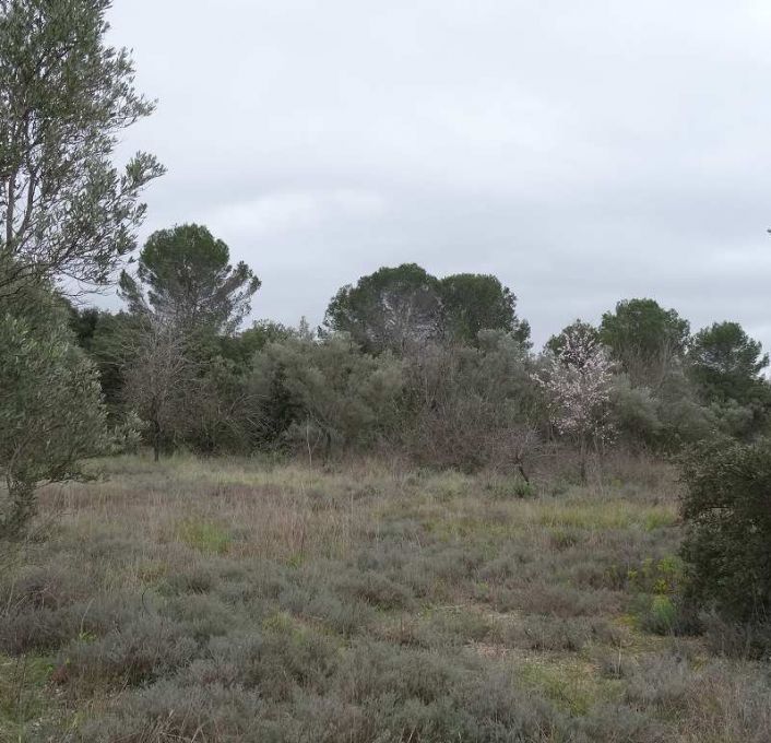 à vendre Terrain de loisir Lunel Viel