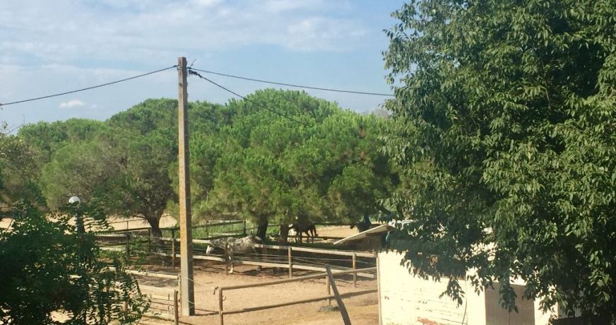 vente Maison La Grande-motte