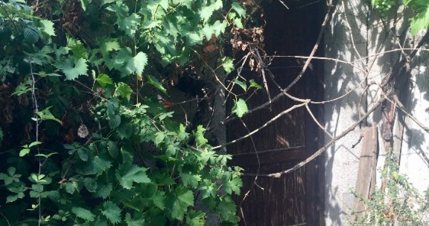 vente Maison La Grande-motte