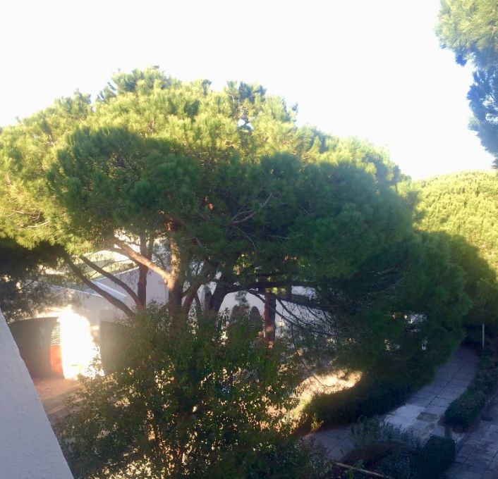 vente Appartement La Grande-motte